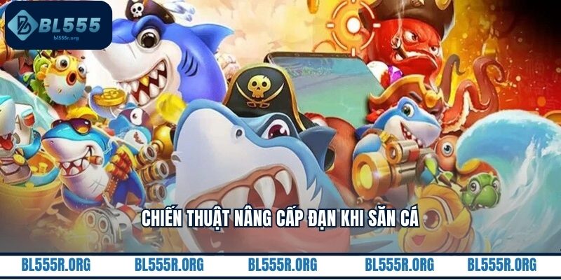 Chiến thuật nâng cấp đạn khi săn cá
