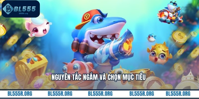 Nguyên tắc ngắm và chọn mục tiêu 