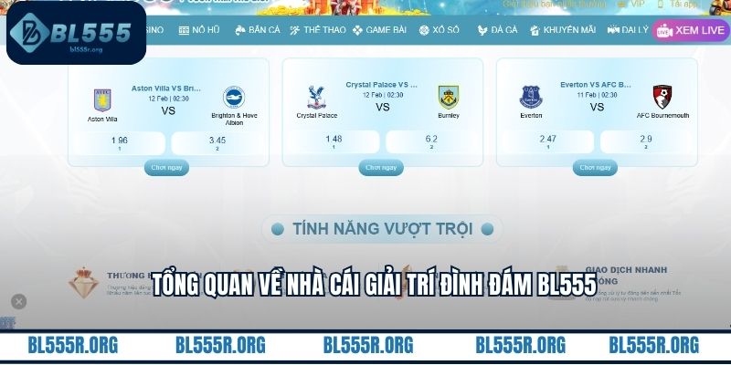 Tổng quan về nhà cái giải trí đình đám BL555