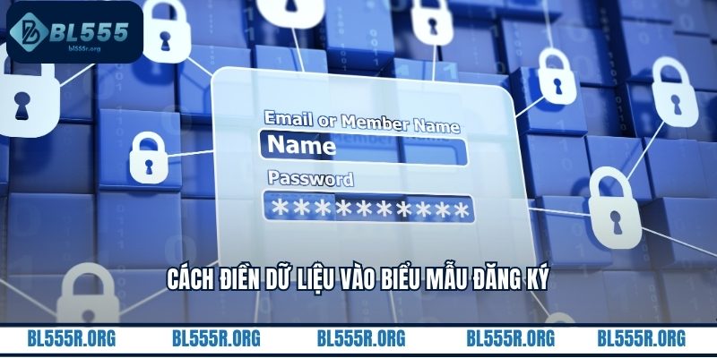 Cách điền dữ liệu vào biểu mẫu đăng ký