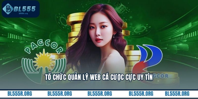 Tổ chức quản lý web cá cược cực uy tín