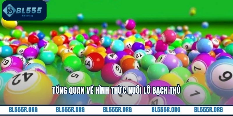 Tổng quan về hình thức nuôi lô bạch thủ
